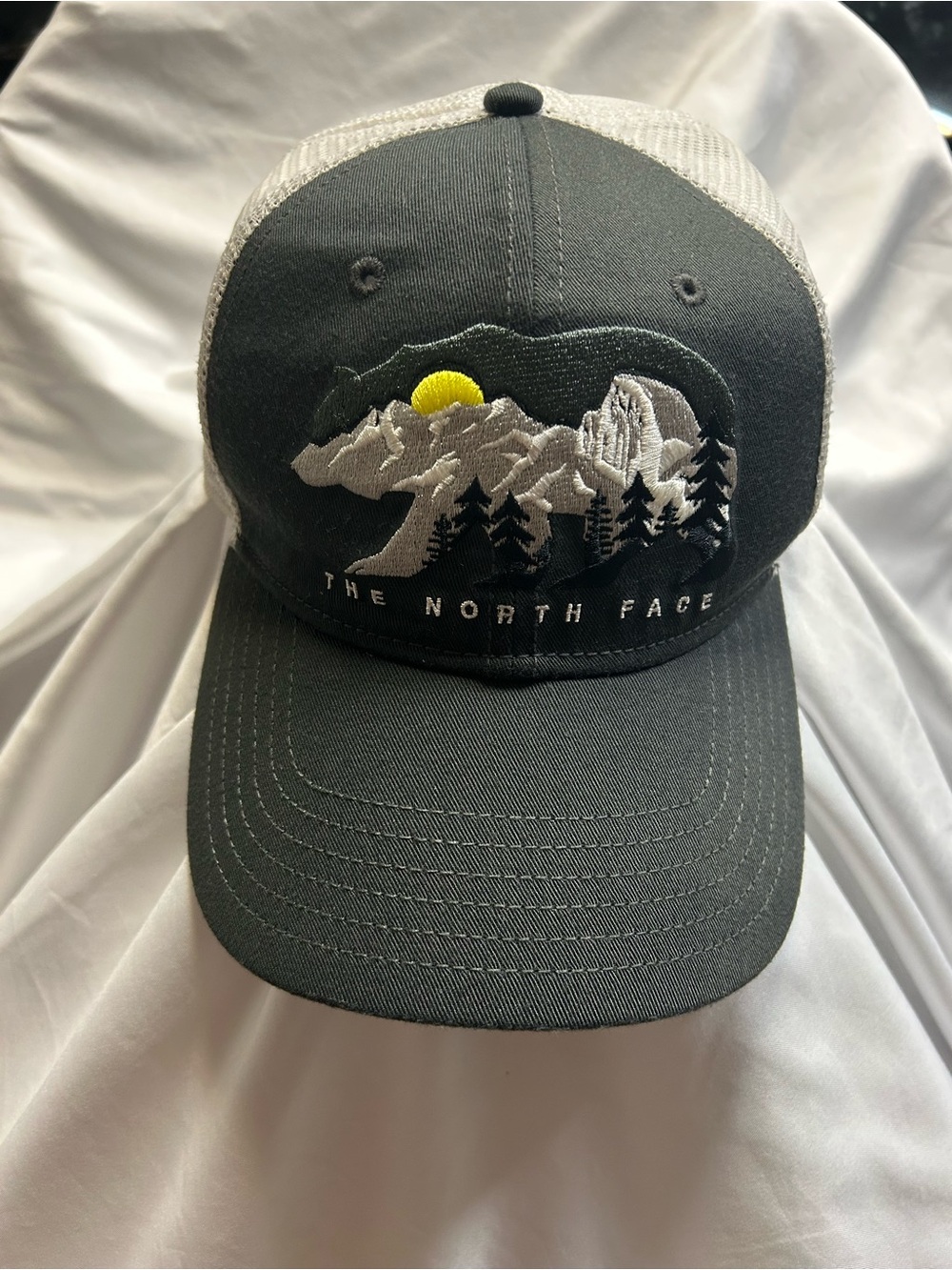 The North Face Charcoal Trucker Hat with Mountain Bear Patch